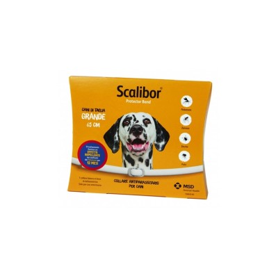 SCALIBOR TAGLIA GRANDE 65 CM