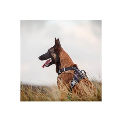 HURTTA PETTORINA W/E WARRIOR ECO ROSA CANINA 45-60