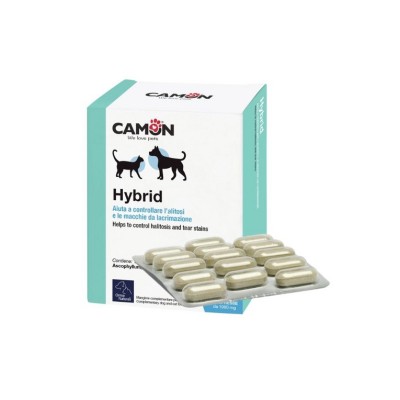 CAMON HYBRID 60CPR