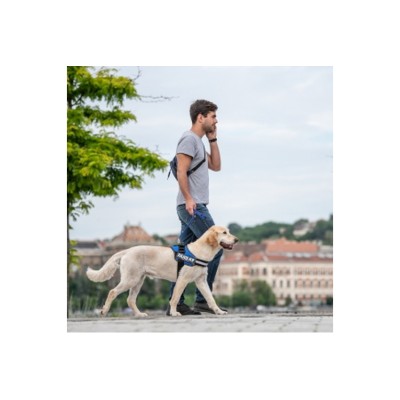 JULIUS K9 POWERHARNESS ACQUAMARINA L 23-30KG