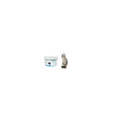 BAYER PRIMO LATTE GATTINO 200GR