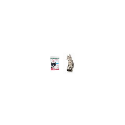 BAYER PRIMAPAPPA GATTINO 85GR