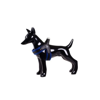 LEOPET PETTORINA VICTORY IN AIRMESH BLU TG2 30.40CM