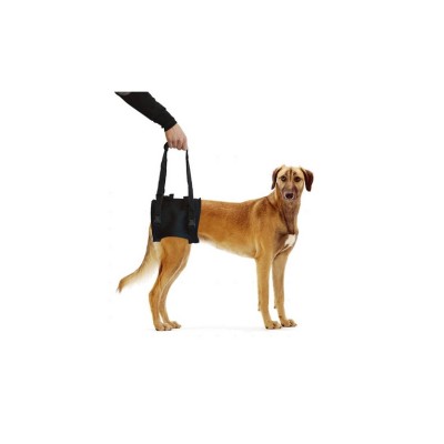 LEOPET PROFI DOG SUPPORTO ARTI POST. MIS. 4 X-LARGE NERO