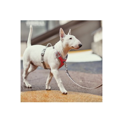 HURTTA PETTORINA NO-PULL CORALLO 35-40CM