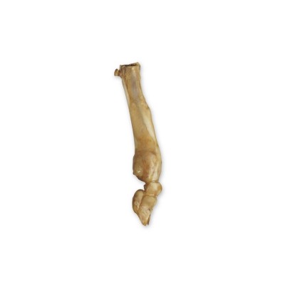 FLAMINGO NATURE SNACK ZAMPA DI PECORA 2PZ