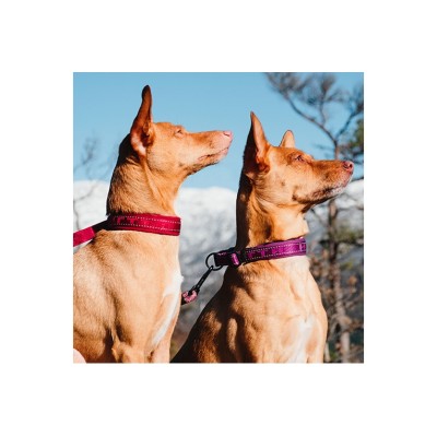 HURTTA COLLARE SEMI-STROZZO ECO RUBY 35-45CM
