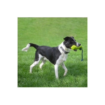 COACHI DUMMY TRAINING CANVASS GALLEGGIANTE M VERDE