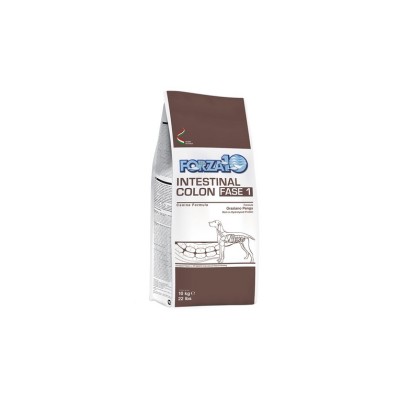 FORZA10 ACTIVE DOG INTESTINAL COLON FASE 1 4KG