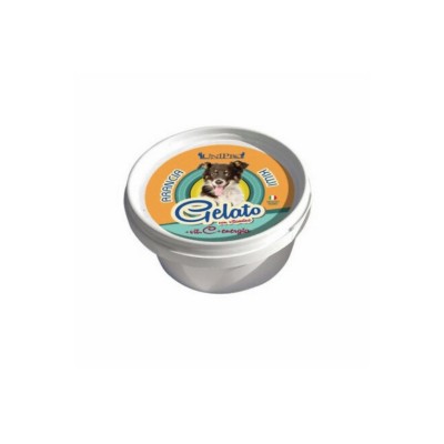 UNIPRO GELATO ARANCIA KIWI 60GR UNIPRO GELATO ARANCIA KIWI 60GR