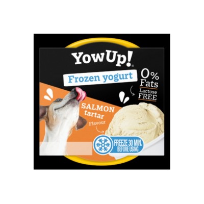 YOW UP FROZEN YOGURT SALMONE 110GR