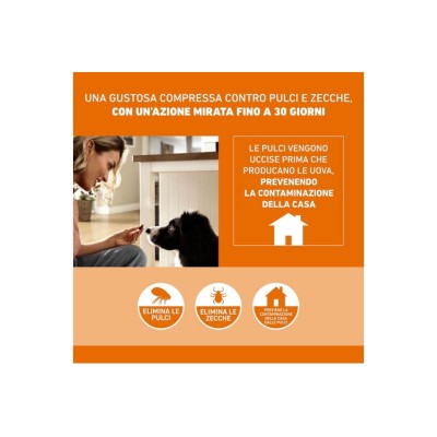 FRONTPRO COMPRESSE ANIPARASSITARIE PER CANI 10-25KG FRONTPRO COMPRESSE ANIPARASSITARIE PER CANI 10-25KG