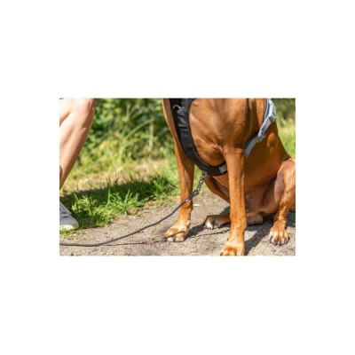 TRIXIE PETTORINA ACTIVE NERO S