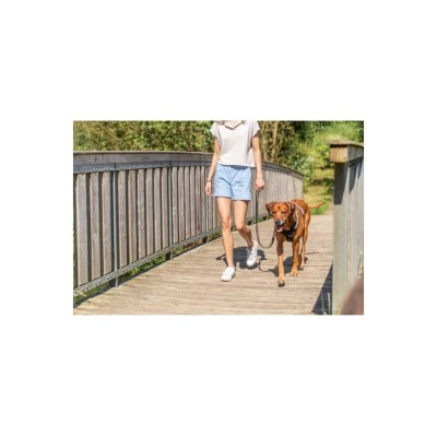 TRIXIE PETTORINA ACTIVE NERO S