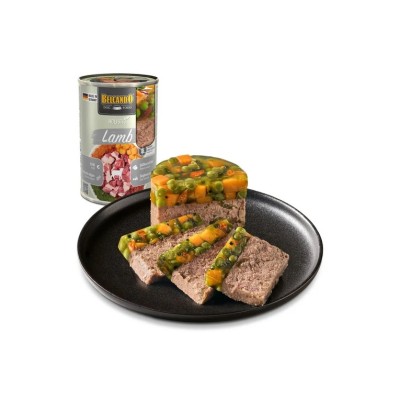 BELCANDO DOG HOLISTIC AGNELLO 400GR
