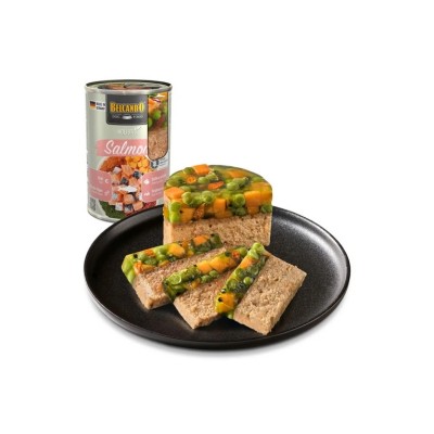 BELCANDO DOG HOLISTIC SALMONE 400GR