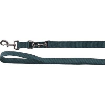 FLAMINGO GUINZAGLIO EDUCATIVO ZIGGI VERDE SCURO 2M 25MM