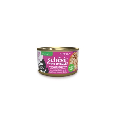 SCHESIR CAT COMPLETE Y&S TONNETTO E SALMONE 12X85G