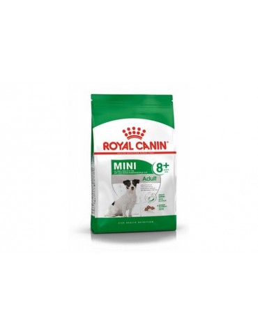 ROYAL CANIN MINI ADULT 8+ 800GR