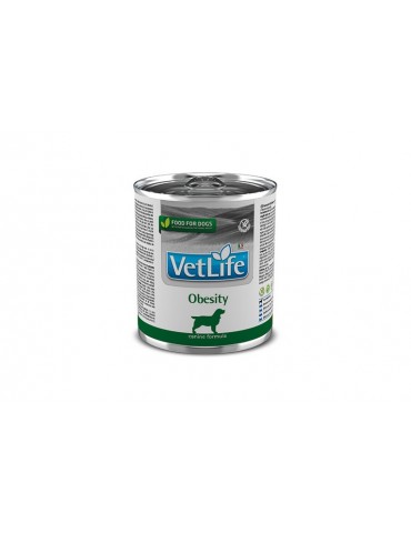 VETLIFE DOG OBESITY 300GR