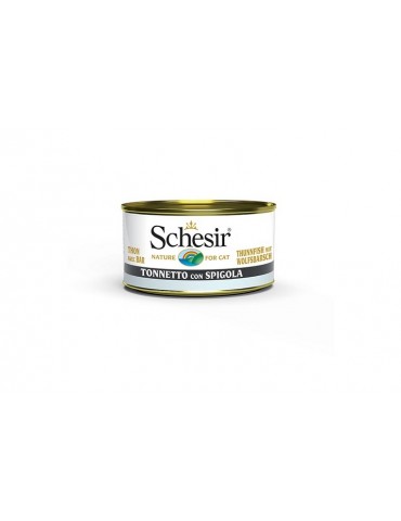 SCHESIR CAT LATTINA JELLY TONNETTO E SPIGOLA 85GR