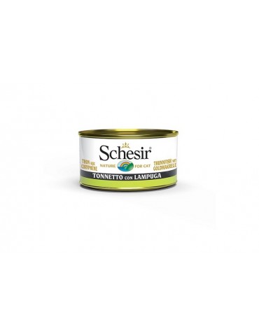 SCHESIR CAT TONNETTO CON LAMPUGA 85GR