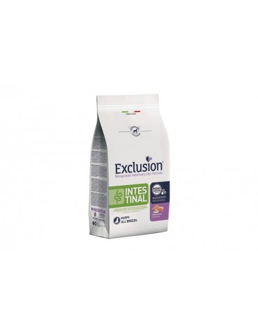 EXCLUSION DIET DOG PUPPY INTESTINAL 12KG