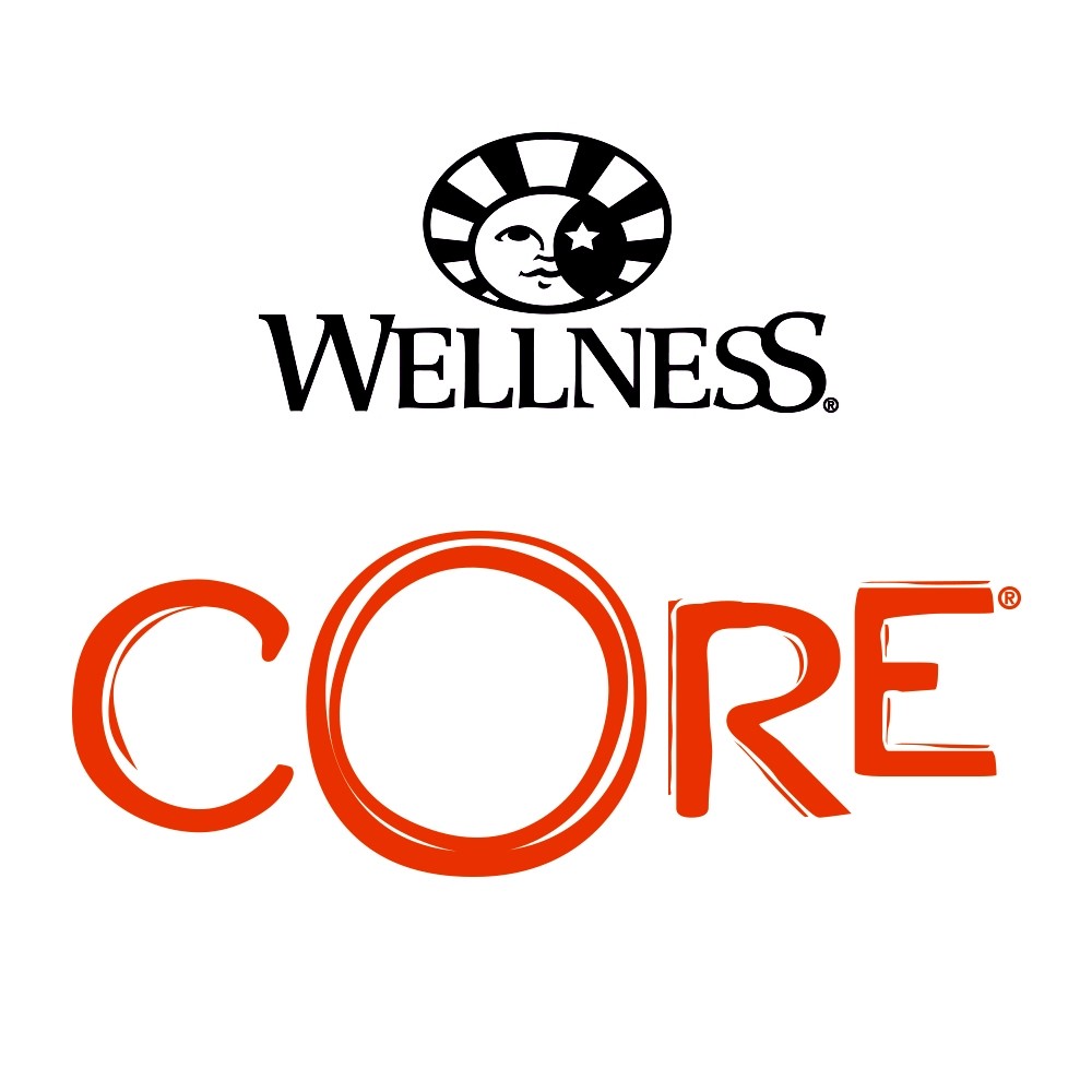 WELLNESS CORE